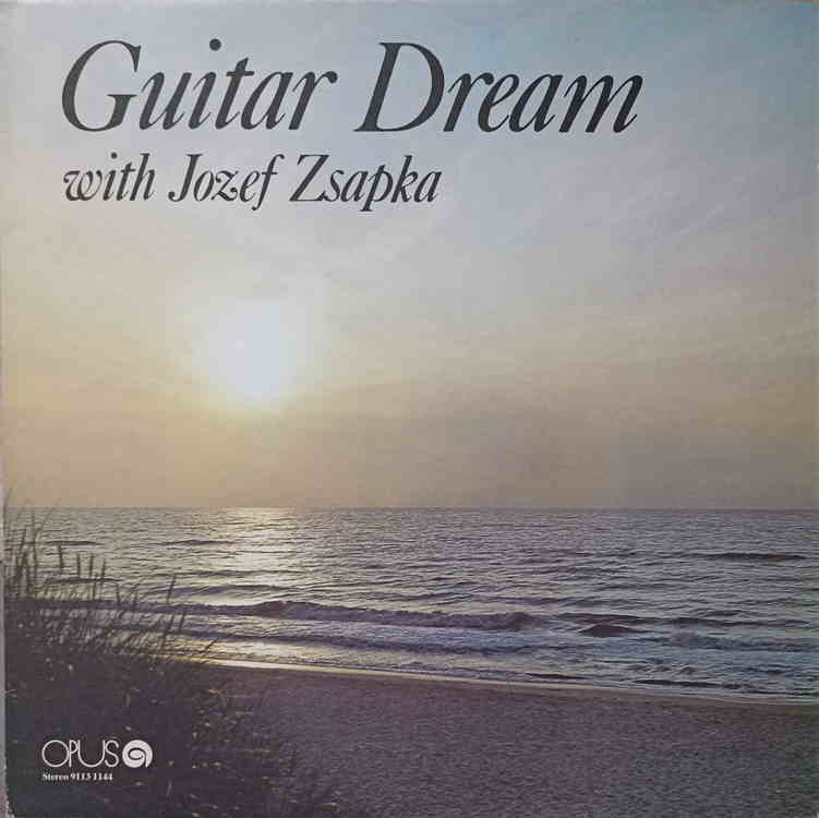 Vezi detalii pentru Guitar Dream