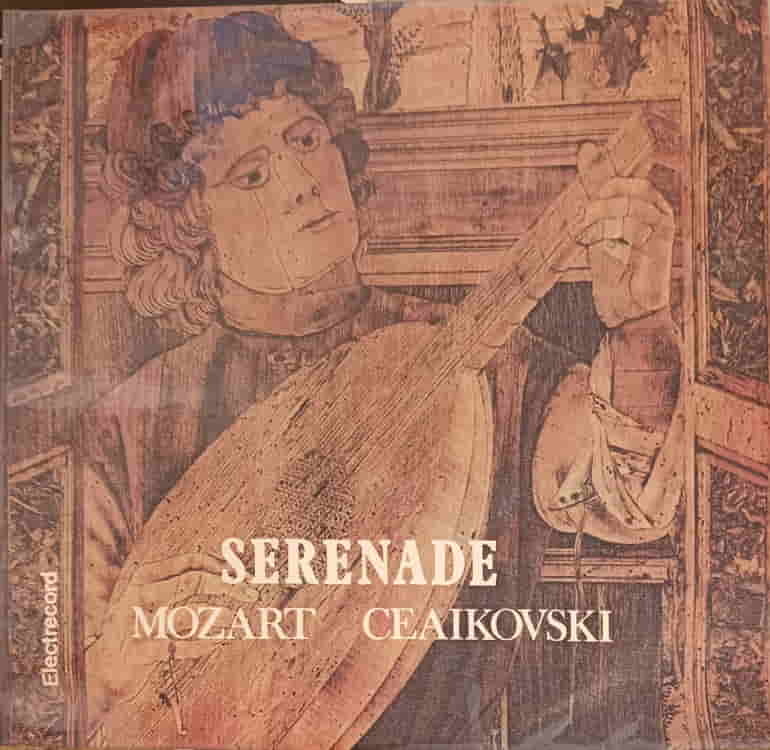 Serenade For Strings, Serenada Pentru Orchestr? De Coarde, Op. 48